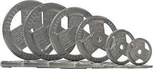 2.5-45lb 1-inch Cast Iron Weight Plate for Strength Training & Weightlifting - Picture 1 of 15