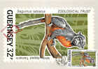 Picture Postcard, GUERNSEY POST OFFICE STAMP CARD, TAMARIN (BAD SCAN)