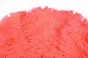 Coral/Peach Ostrich Feathers 12-14 inch 100 Pieces(GA, USA) - Picture 1 of 1