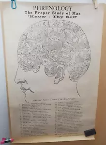 Phrenology 13"x20" Fowler & Wells, From N.Y.S.H.A collection. Quack Medicine - Picture 1 of 4