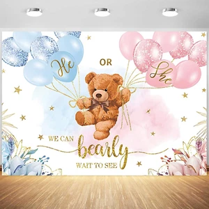 7X5Ft Gender Reveal Backdrop Baby Bear Boy or Girl Photography Background Baby S - Picture 1 of 12