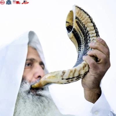 Kosher Ram Shofar Cuerno de Israel 12”-14” Tradicional Medio Pulido Ram Shofa Foto 1 de 4