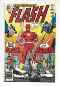 Flash #246 ~ En muy buen estado- - Imagen 1 de 2