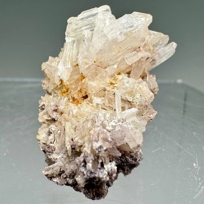 Fine "Snowflake" Cerussite Crystal: Mammoth-Saint Anthony Mine, Tiger, Arizona - Image 1 of 4