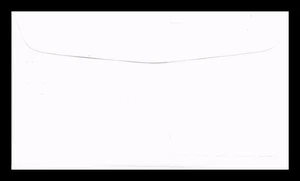 DR JIM STAMPS US COVER LADY LIBERTY & AMERICAN FLAG FDC COMBO COLORANO SILK - Picture 1 of 2