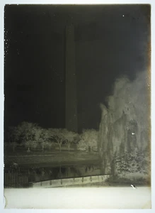 5x7 Glass Plate Negative, Washington Monument, Trees, River, 1920s - Picture 1 of 1