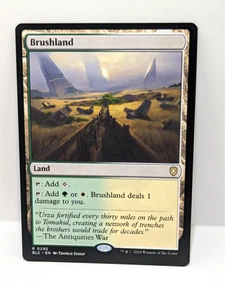 Brushland - Bloomburrow - Rare - Regular - Land - BLC 295 - - Bild 1 von 2