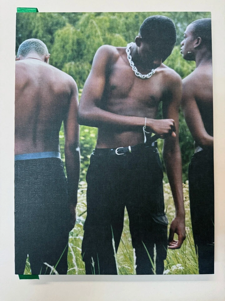 New SIGNED Tyler Mitchell I Can Make You Feel Good First Printing- Prestel OOP Foto 1 de 1