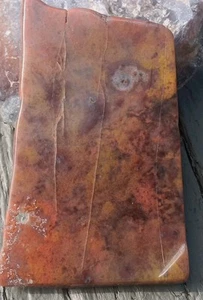 Madera Petrificada Agatizada Extremo Volcánico Fundido Pulido Losa Púrpura Naranja Amarillo - Imagen 1 de 11