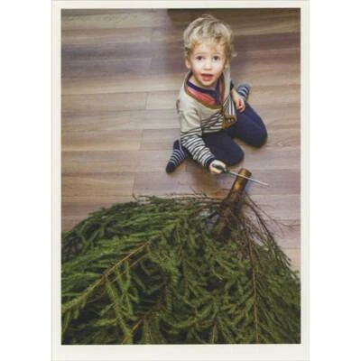 Pequeño Niño Atrapado Aserrando Árbol de hoja perenne Tronco Caja de 10 Divertidas Tarjetas de Navidad Foto 1 de 2