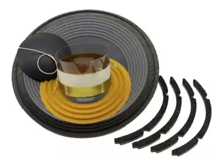 Kit de reconexión de audio SS para 12" JBL 2206G, GPL, 4 ohmios, RK-JBL2206-4 - Imagen 1 de 5