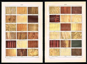 Rodzaje drewna, drewna, dąbu, róży, oliwek, 2x antyczne nadruki larousse - 1922