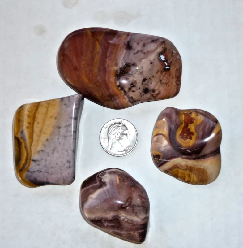 Piedra de bolsillo de palma bandas multicolores Wonderstone riolita rocas pulidas Utah Foto 1 de 2