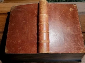 Leder Dekorateur Buchrücken Naben braun Markierungsband Dekor Mathe Französisch neu binden - Bild 1 von 18