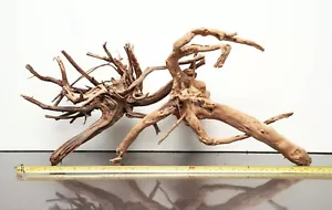 Driftwood stile ADA LEGNO DI RAGNO acquario ramo ceppo acquario A009 WYSIWYG - Foto 1 di 5