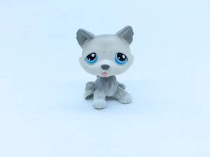 Littlest Pet Shop #70 Gray Husky Puppy Dog Blue Eyes - Picture 1 of 2