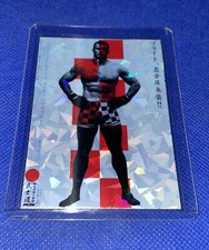Mirko Cro Cop Pride FC Custom Hand Made Holo Mini Poster Trading Card mma ufc