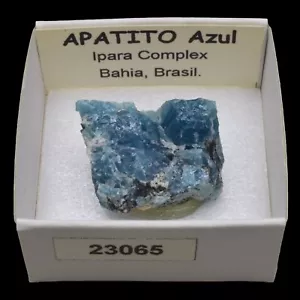 APATITO Azul (Ipara complex, Bahia, Brasil) #23065 / Apatite - Bild 1 von 1