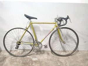 G bici bike road Eroica corsa road Legnano Gran Premio Campagnolo 53 x 51 28" - Picture 1 of 12