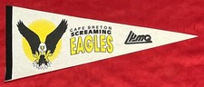 Vintage Cape Breton Screaming Eagles QMJHL Junior Hockey 22 Inch Pennant