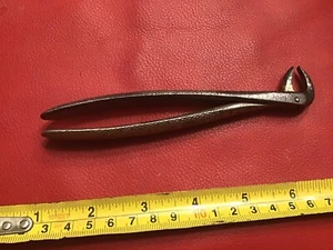 VINTAGE PORRO TEETH TOOTH EXTRACTOR REMOVAL DENTAL PLIERS DENTIST DENTISTRY TOOL - Picture 1 of 6
