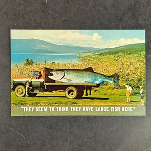 Vintage Exaggerated Trout Chrome Postcard British Columbia, Canada - UNPOSTED - Picture 1 of 2