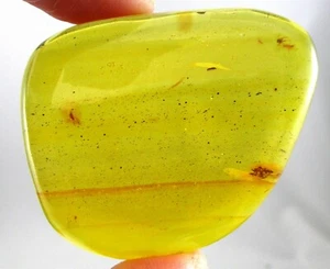 Ámbar 23 gramos con múltiples insectos - Fósil República Dominicana - Imagen 1 de 7