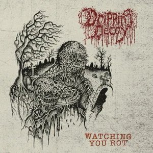 DRIPPING DECAY - Watching you rot - Cd death metal grindcore deathgrind limited - Imagen 1 de 1