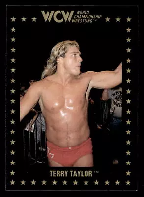 Terry Taylor 1991 Championship Marketing WCW Card #33 - Image 1 of 2