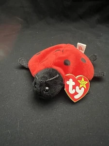Ty Original Beanie Baby “Lucky” The Ladybug, 1995 Retired - Picture 1 of 3