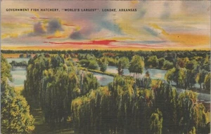 c1940 Birds eye view Government Fish Hatchery largest Lonoke Arkansas linen C780 - Picture 1 of 2
