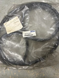 NEW RIGHT REAR Door Weatherstrip Seal 98 99 Dodge Intrepid Chrysler Concorde - Picture 1 of 3