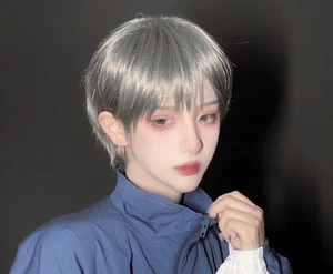 Peluca Corta Diaria Estilo Japonés Cosplay Masculino Adolescente Hermosa Cabello Gris Claro - Imagen 1 de 12