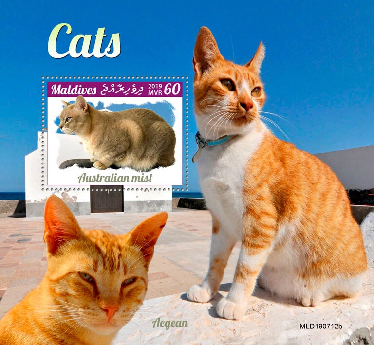 Maldives 2019 MNH Cats Stamps Australian Mist Aegean Cat Domestic Animals 1v S/S - Image 1 of 1