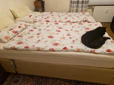 Ruf- Kunstlederpolsterbett , Doppelbett auch einzeln (als 2 Betten) nutzbar - Bild 1 von 4