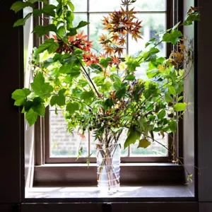 Juliska Amalia 14" Vase - Bild 1 von 11