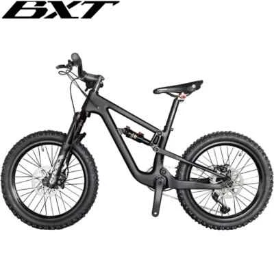 BXT Voll-Federung Kohlefaser Mountainbike 20er Fahrrad MTB Kinderfahrrad Reisen - Bild 1 von 4