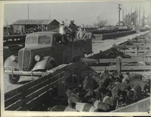 1938 Press Photo La Calif Garbage contract to Tom Kitahata & his hog farm - Picture 1 of 2