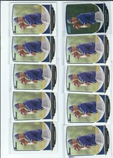 LOT OF 22 TAYLOR GUERRIERI    ROOKIE CARDS TAMPA RAYS BOWMAN  PLATINUM