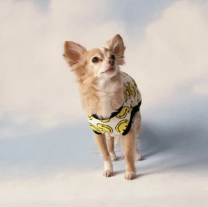 Zara Smiley Pet Colletion Shirt Cat Apparel Puppy/Dog S - Picture 1 of 4