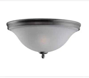 Sea Gull Lighting Two-Light Gladstone Ceiling Fixture 75850-965  - Picture 1 of 3