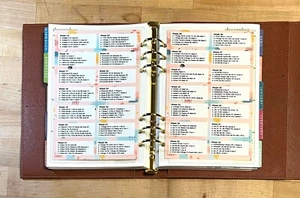 Set of 2 (Two) Bible Read Dashboard Insert 4 use w/ ErinCondren A5 Ring Agenda- - Picture 1 of 6