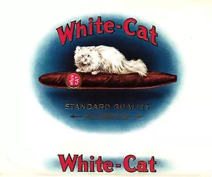 ZIGARRENKISTE ETIKETT "WEISSE KATZE" - Bild 1 von 2