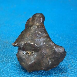 52.3gm Gebel Kamil iron meteorite ataxite Egyptian AMJ0052