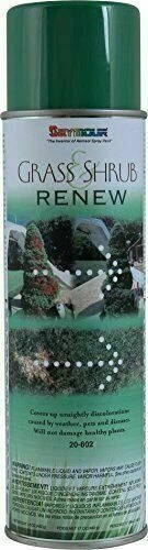 Seymour 20-602 Grass & Shrub Renew