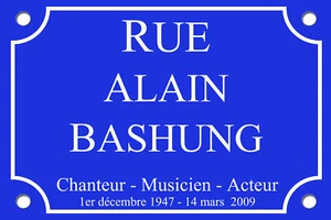 PLAQUE de RUE Alain BASHUNG 30X20cm ALU Personnalisable - Picture 1 of 1