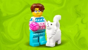 🔥Lego Minifigures 71048 Series 27 col458 Cat Lover Brand New in Hand - Picture 1 of 8