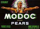 Original MODOC pear crate label Modoc Orchard Co Medford OR headdress feathers