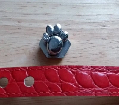 Energetix Magnetschmuck PFOTE mit Glitzer (OVP) für Halsband für Hund/Katze  - Bild 1 von 4