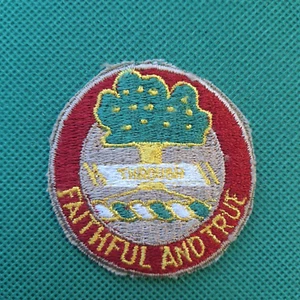 Parche DUI de artillería de campo quinta de la era de la Segunda Guerra Mundial del ejército de Estados Unidos/década de 1950 - Imagen 1 de 7